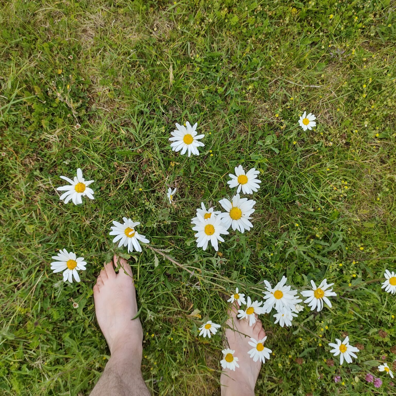 50daysofshades d06-i04 - Daisy Feet