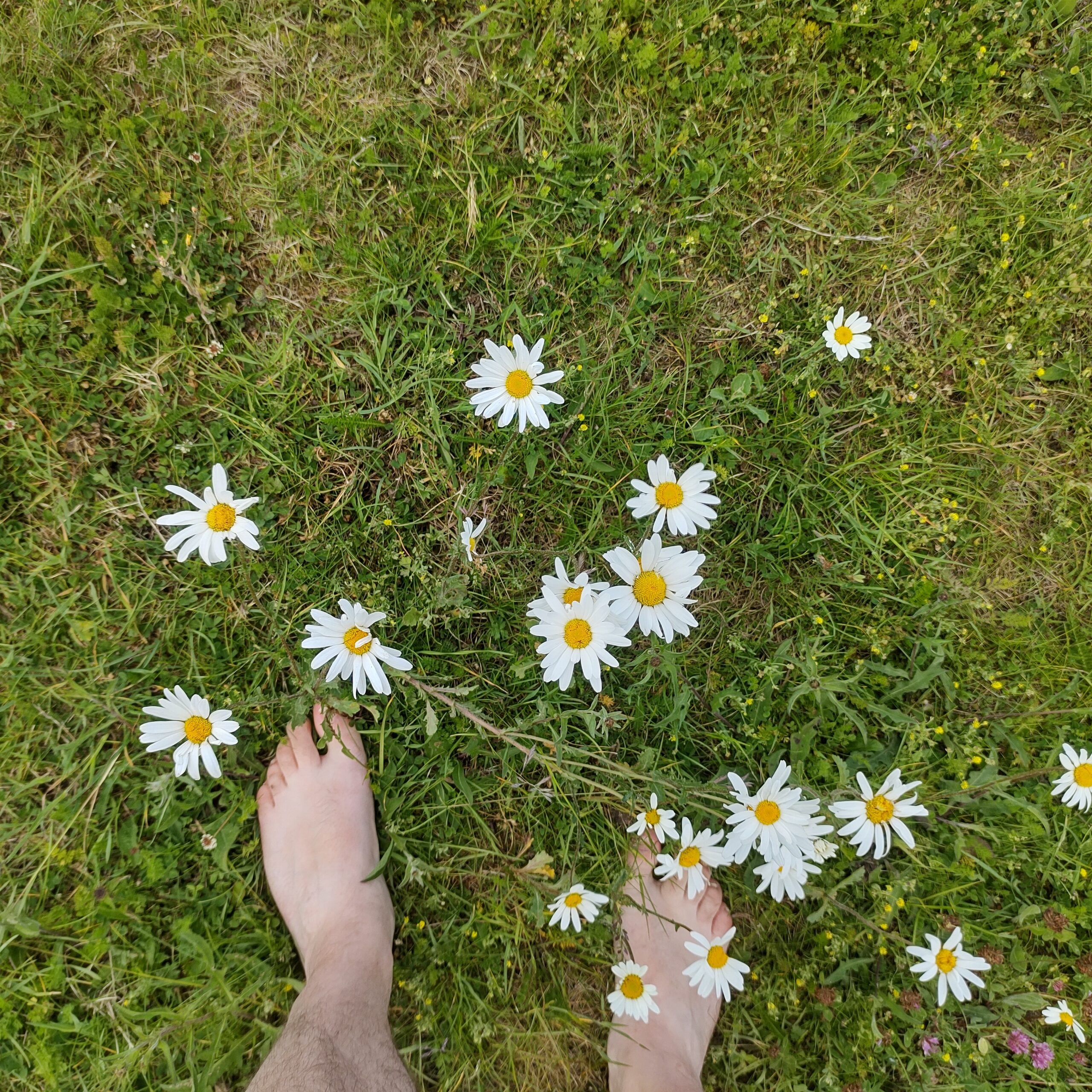 50daysofshades Day 06-i04 - Daisy Feet