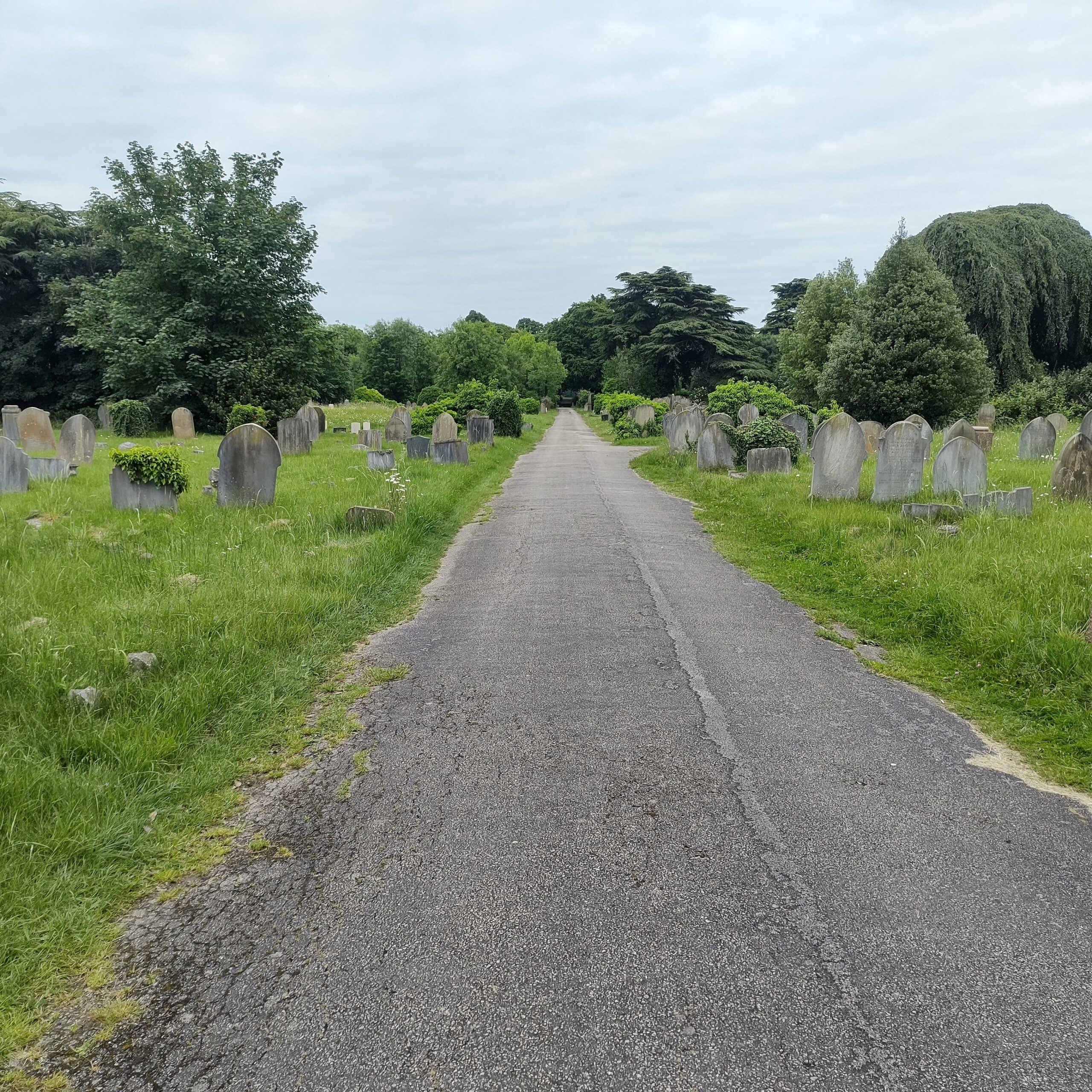 50daysofshades D11-i02 - Reading Cemetery