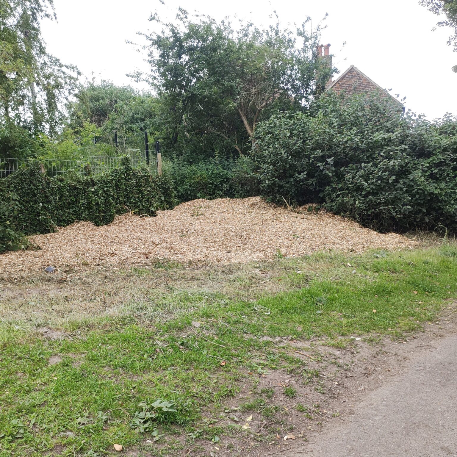 50daysofshades d14-i03 wood chippings