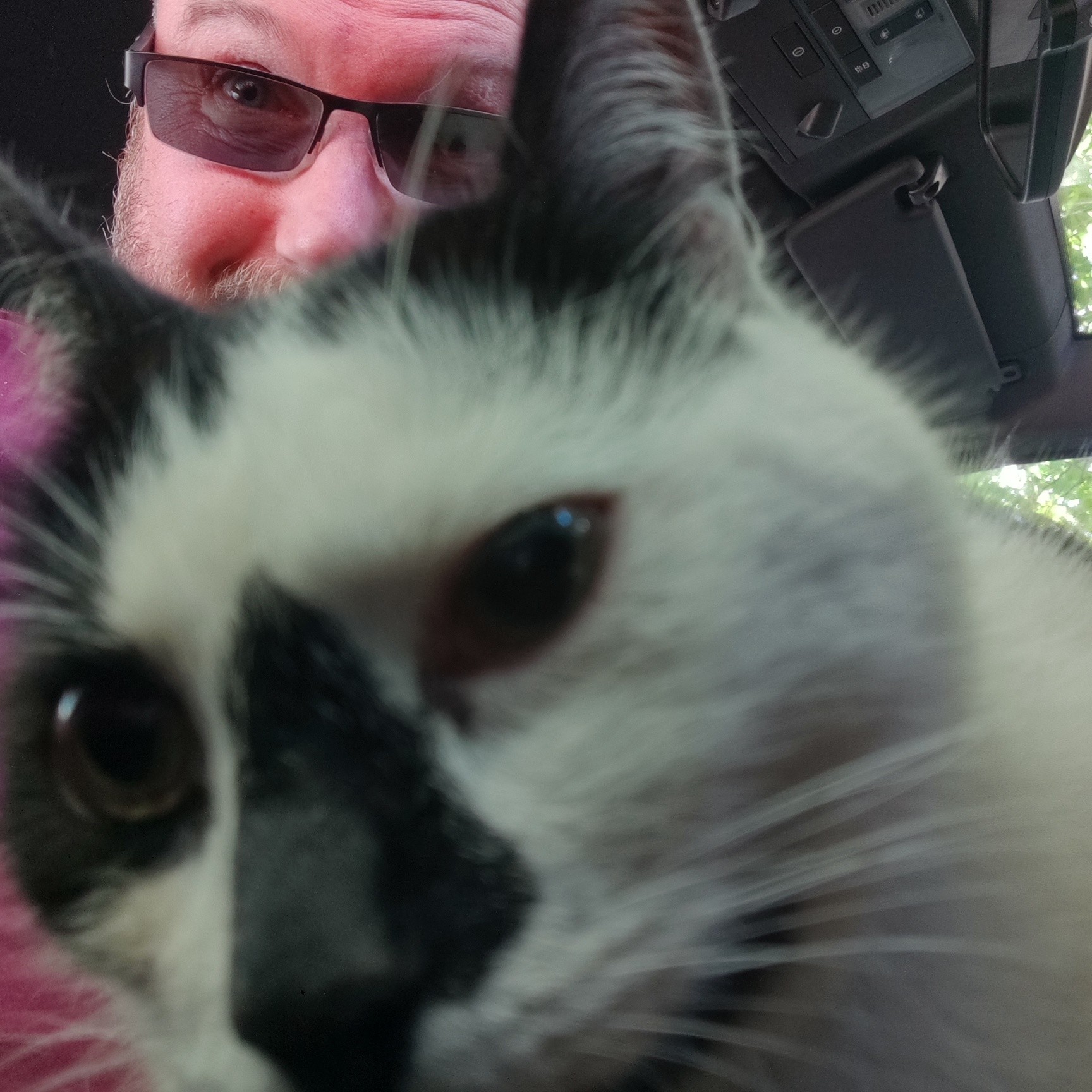 50daysofshades d19-i01 - Cat in foreground, man in sunglasses behind 50daysofshades d19-i01 - Cat in foreground, man in sunglasses behind