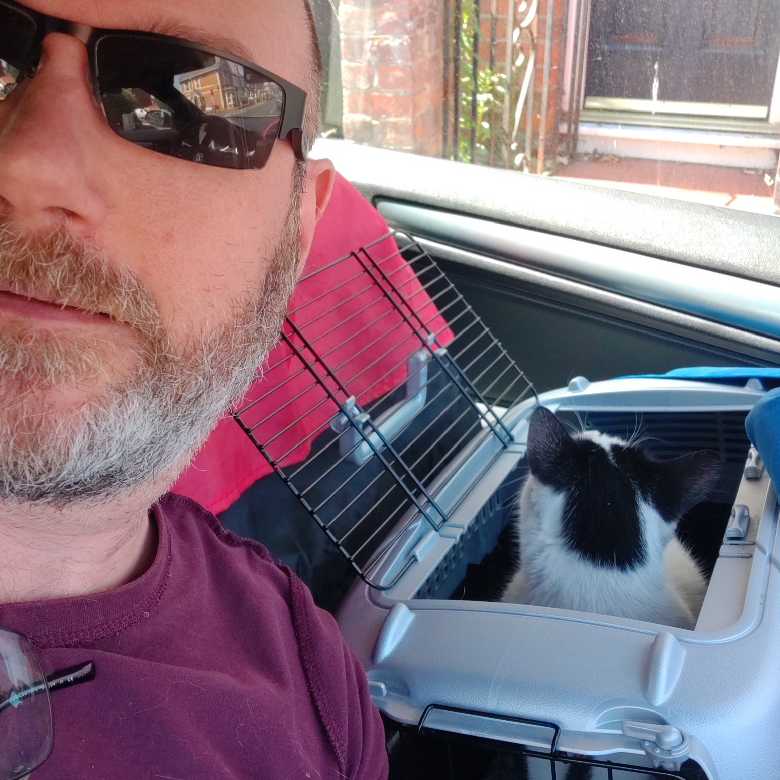 50daysofshades d19-i02 - Man (Steve Wells) in sunglasses cat in carrier looking out of car window