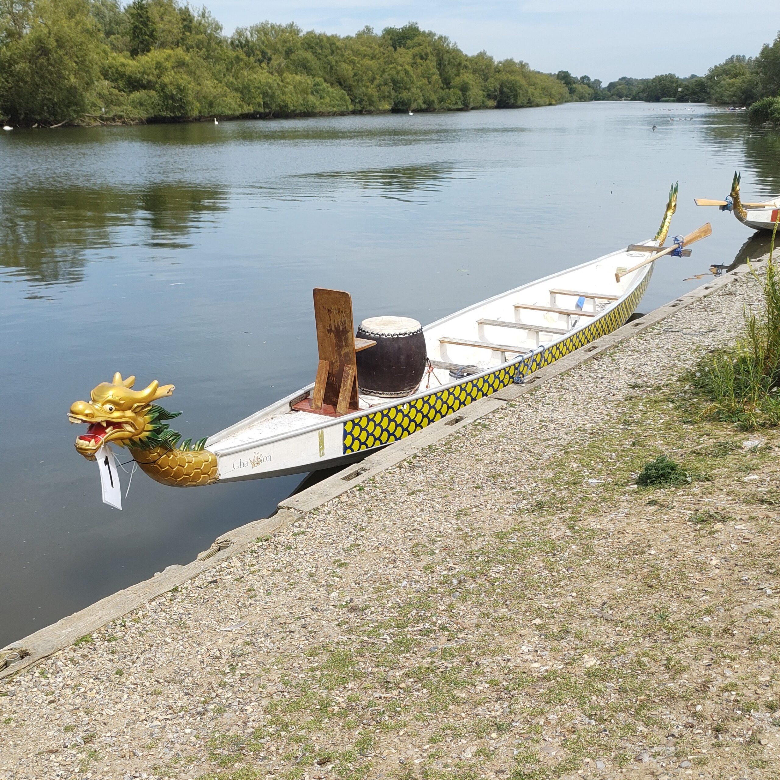 0daysofshades d21-i03 dragon boat