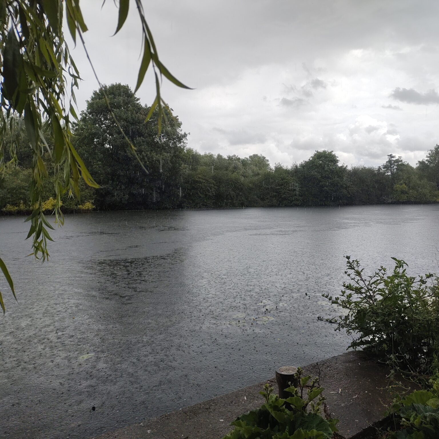 50daysofshades d35-i03 - Rain on the river