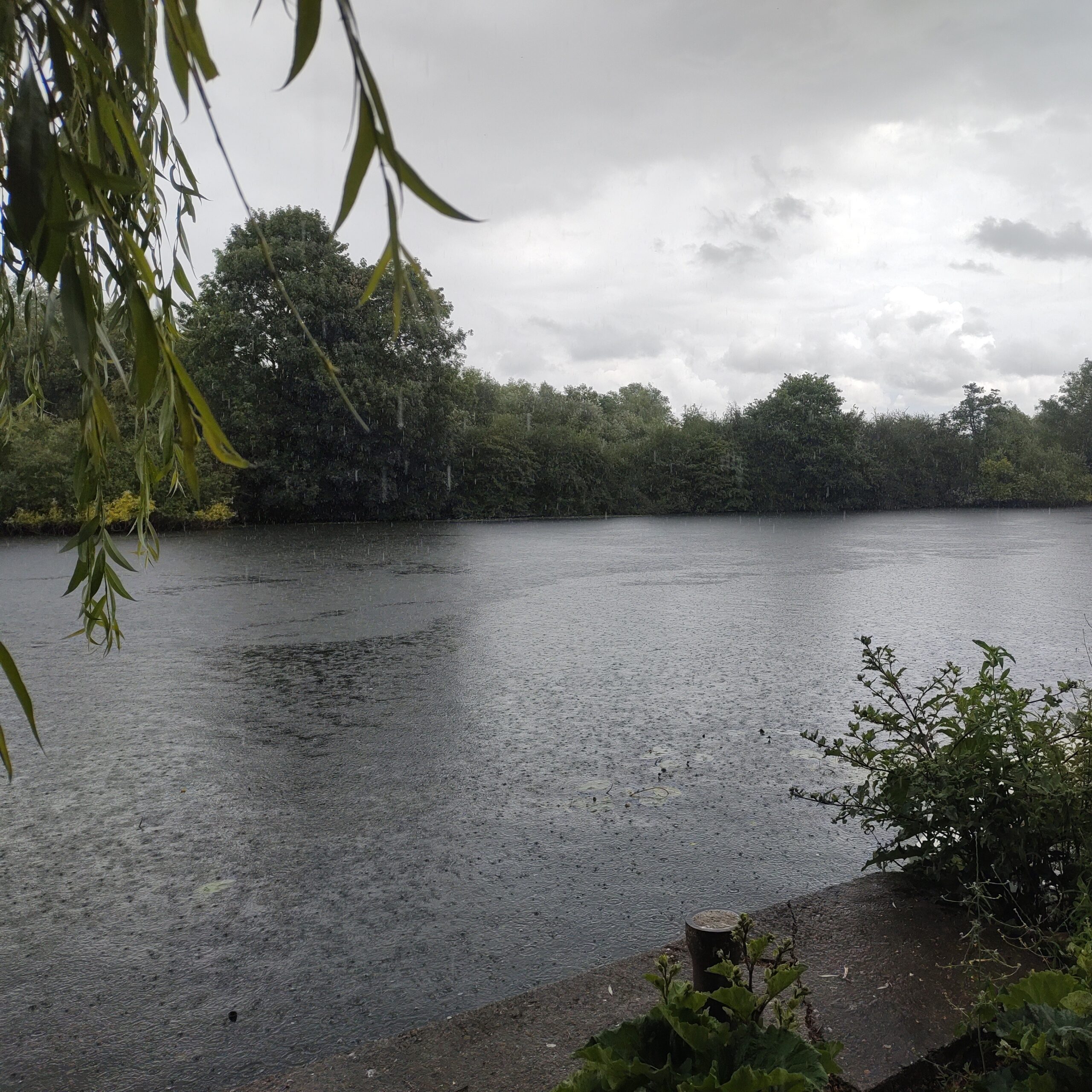 50daysofshades d35-i03 - Rain on the river