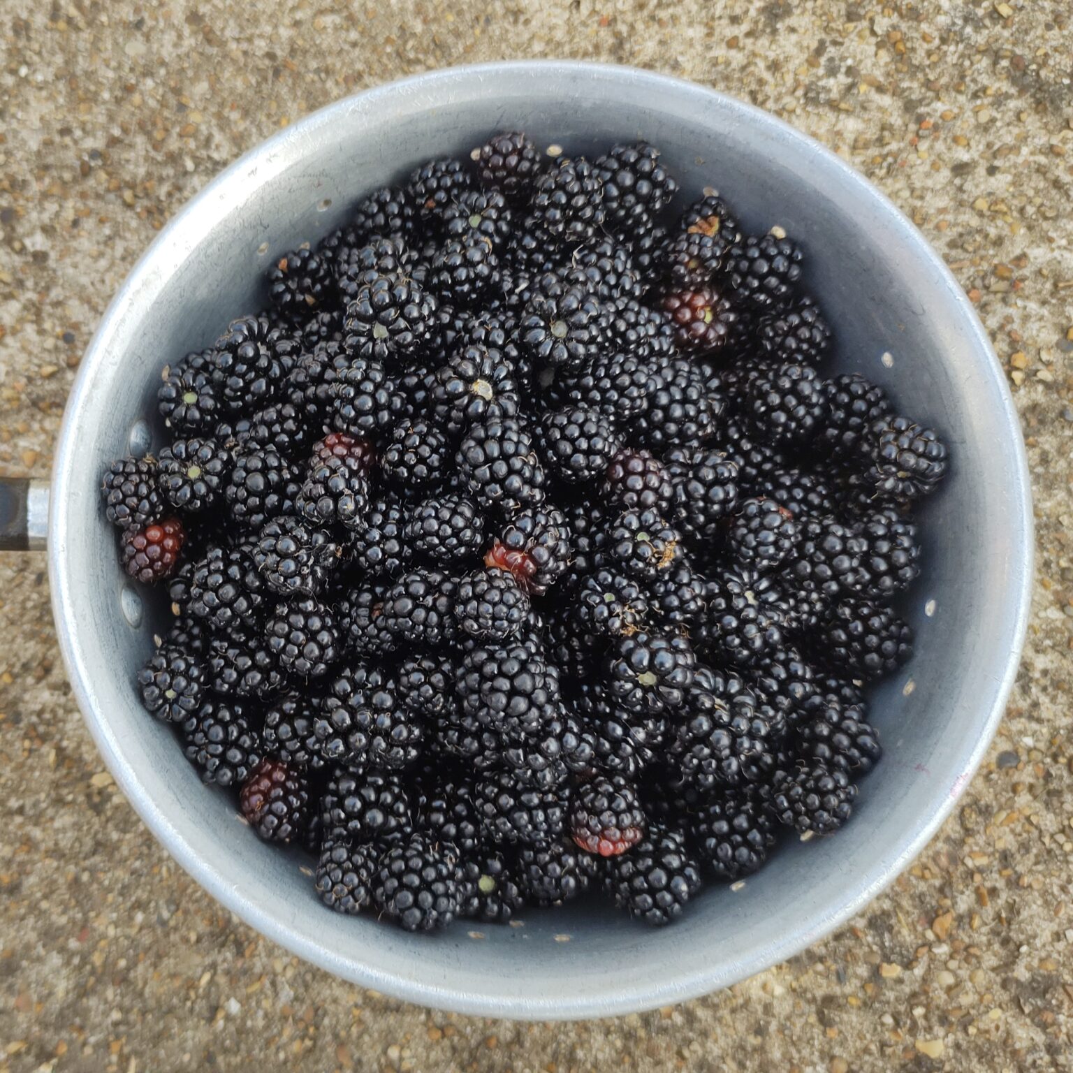 50daysofshades d67-i02