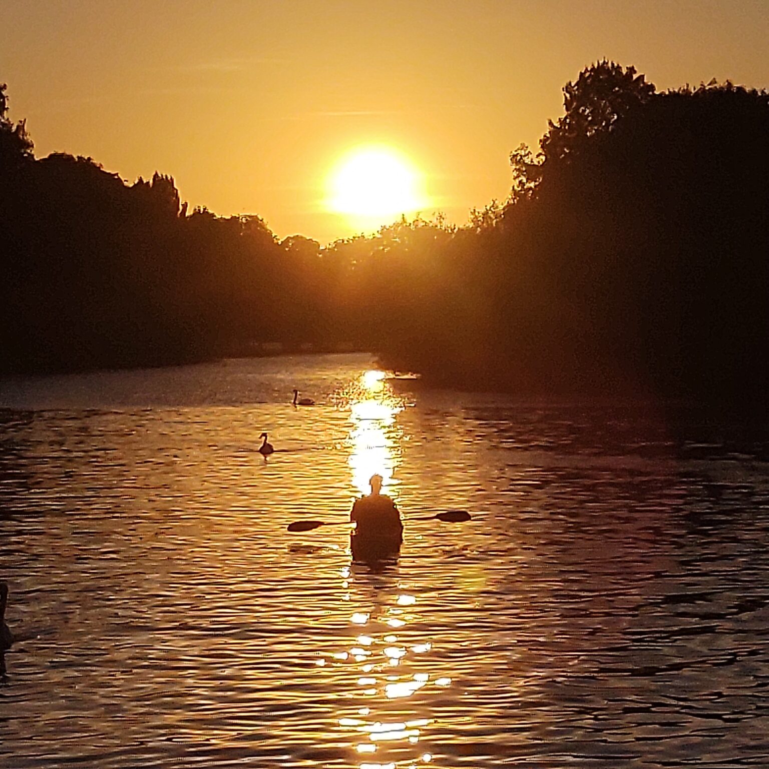 50daysofshades d75-i04 Right place right time